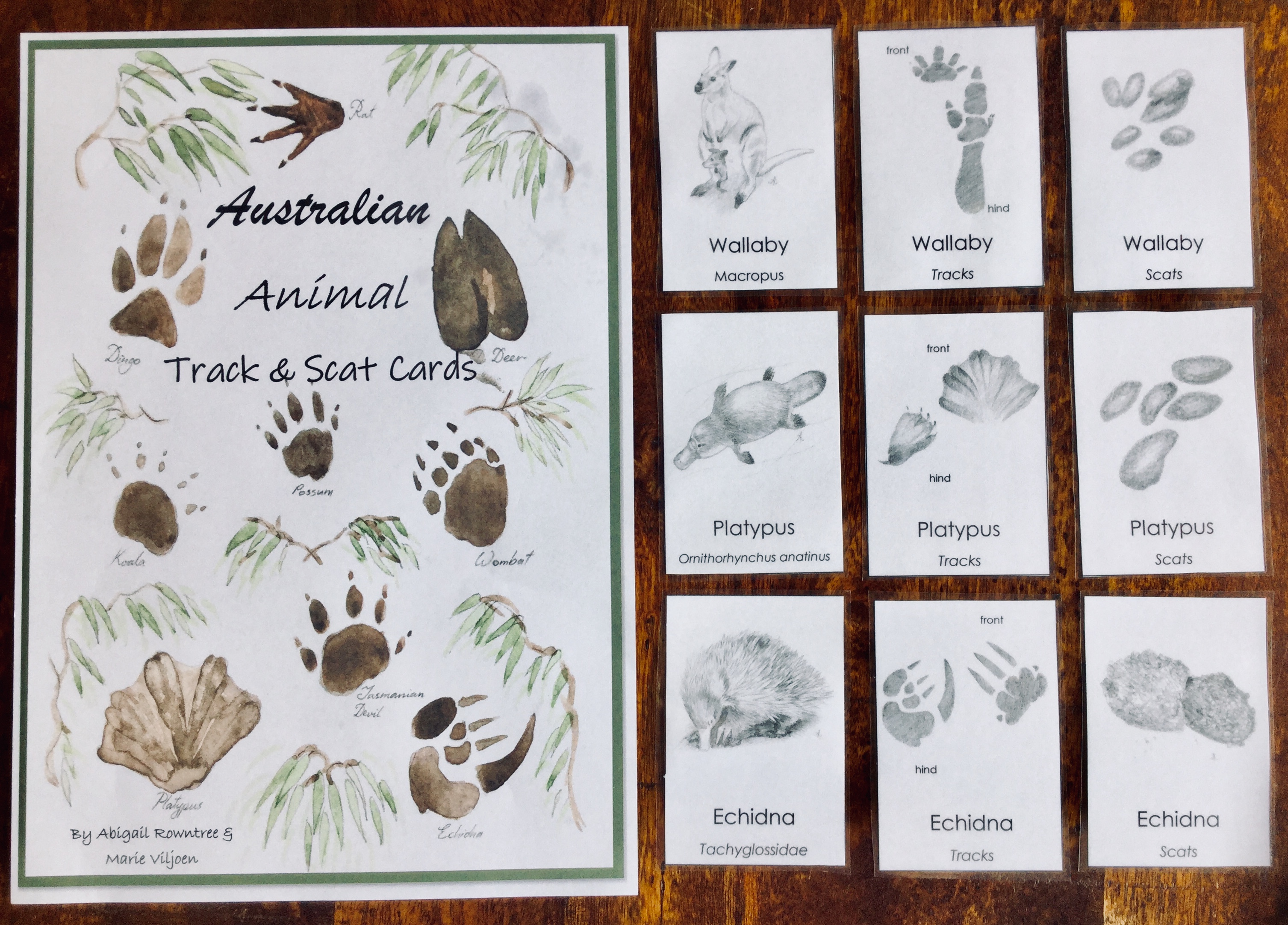 Identification Cards | Australian Animal Track & Scat Cards