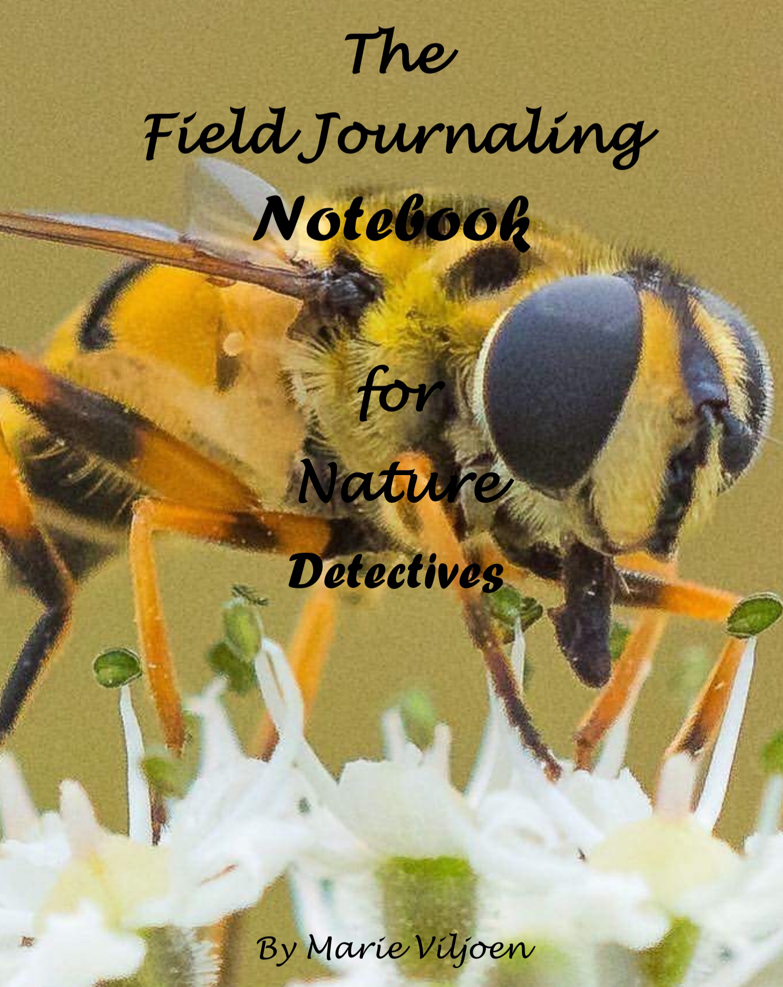 Free Resources