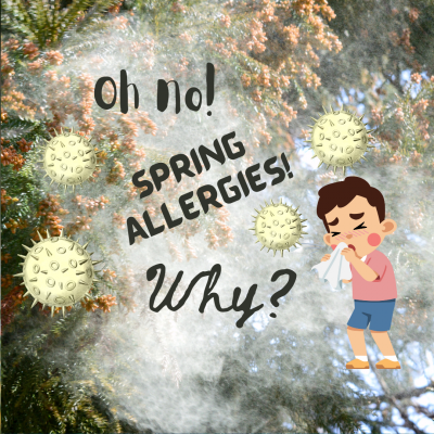 Oh no! Spring Allergies! Why?