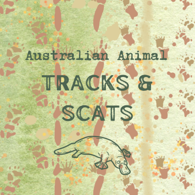 Tracks & Scats